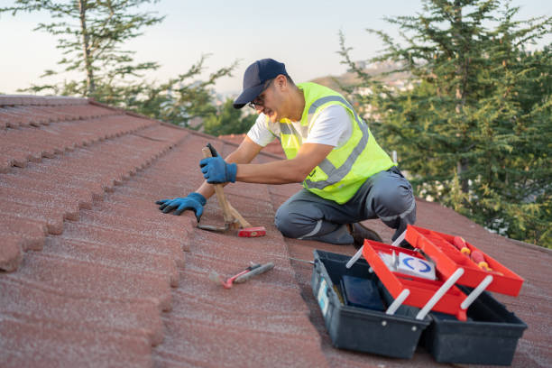 Residential Roof Replacement in Pine Hills, CA